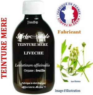 Teinture mère - Livéche (levisticum officinale) - Herbo-phyto - Herboristerie Bardou™ 