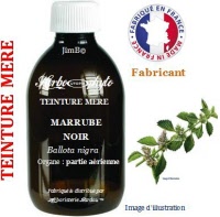 Teinture mère - Marrube noir (ballota nigra) - Herbo-phyto - Herboristerie Bardou™ 