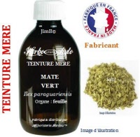 Teinture mère - Maté vert (ilex paraguariensis) - Herbo-phyto - Herboristerie Bardou™ 