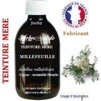 Teinture mère - Millefeuille (achillea millefolium) - Herbo-phyto - Herboristerie Bardou™ 