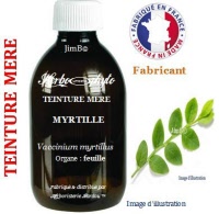 Teinture mère - Myrtille (vaccinium myrtillus) - Herbo-phyto - Herboristerie Bardou™ 