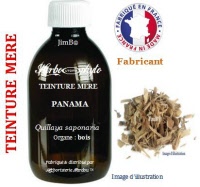 Teinture mère - Panama (quillaya saponaria) - Herbo-phyto - Herboristerie Bardou™ 