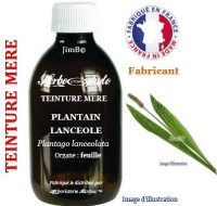 Teinture mère - Plantain lancéolé (plantago lanceolata) - Herbo-phyto - Herboristerie Bardou™ 