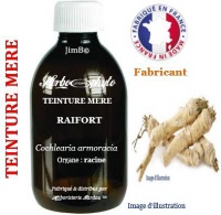 Teinture mère - Raifort (cochlearia armoracia) - Herbo-phyto - Herboristerie Bardou™ 