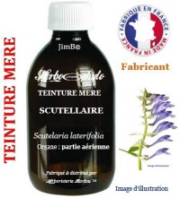Teinture mère - Scutellaire (scutellaria laterifolia) - Herbo-phyto - Herboristerie Bardou™ 
