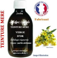 Teinture mère - Verge dor (solidago vigaurea) - Herbo-phyto - Herboristerie Bardou™ 
