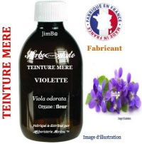Teinture mère - Violette (viola odorata) - Herbo-phyto - Herboristerie Bardou™ 