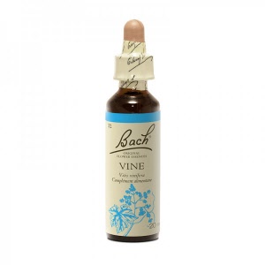 Fleur de bach - Vine (vitis vinifera)(vigne) - Bach original® - Herboristerie Bardou™