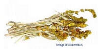 Plante en vrac - Vulnéraire (hypericum numullarium) - Herbo-phyto - Herboristerie Bardou™ 