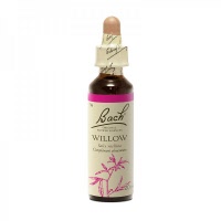 Fleur de bach - Willow (salix vitellina)(salix vitellina) - Bach original® - Herboristerie Bardou™